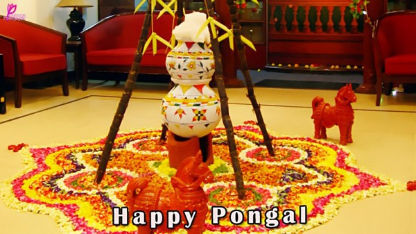 Happy Pongal