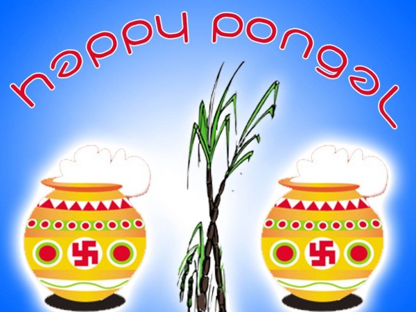 Happy Pongal