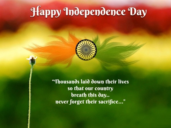 Happy Independence Day