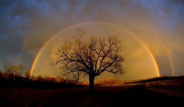 Rainbow at Elam Bend