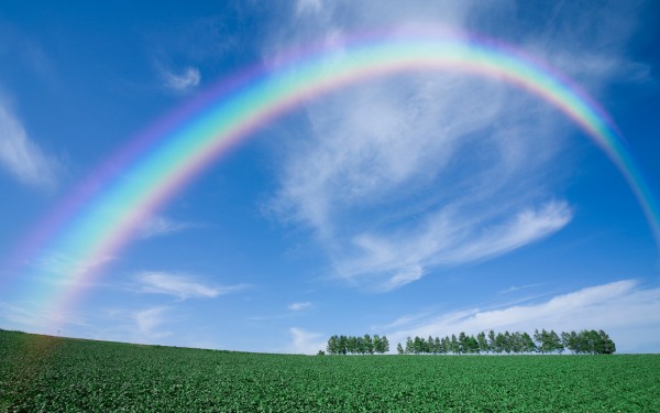 Rainbow landscape