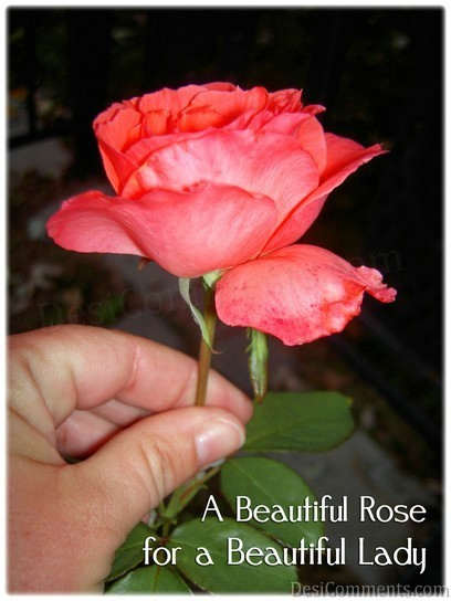 Rose For A Beautiful Lady - DesiComments.com