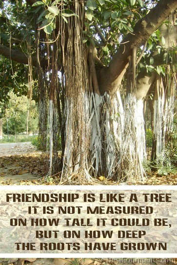 Friendship Is Like A Tree - DesiComments.com