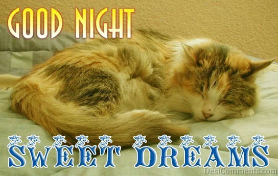 Sweet Dreams Graphic - DesiComments.com