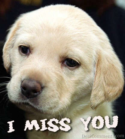 I Really Miss You - DesiComments.com