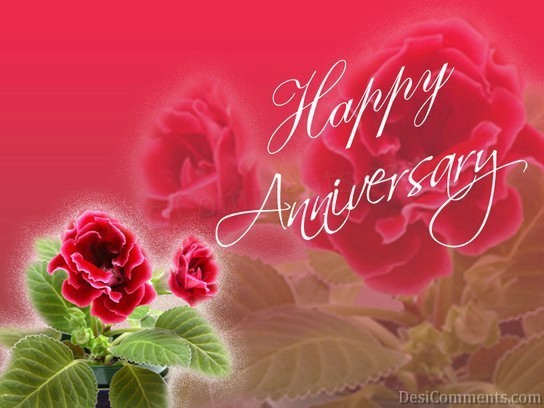 Celebrate Anniversary With Red Rose