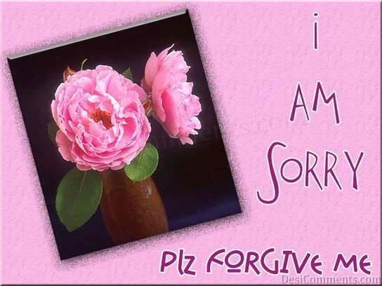 Sorry Greeting