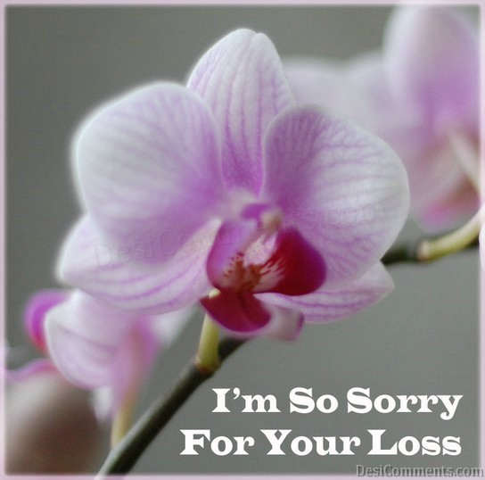 I Am Sorry For Your Loss