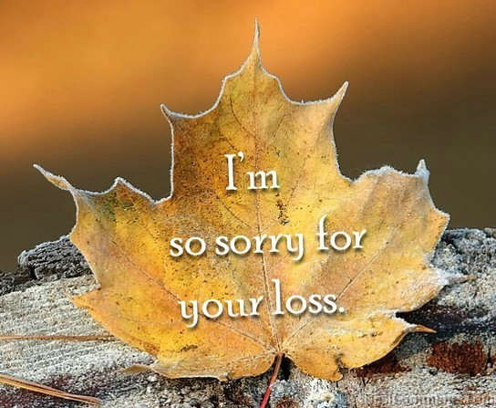 So Sorry For Loss - DesiComments.com