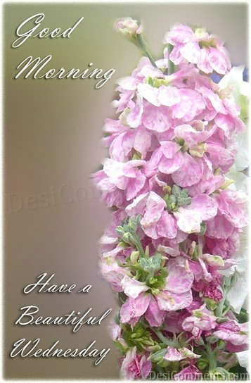 Good Morning With Beautiful Flower - DesiComments.com