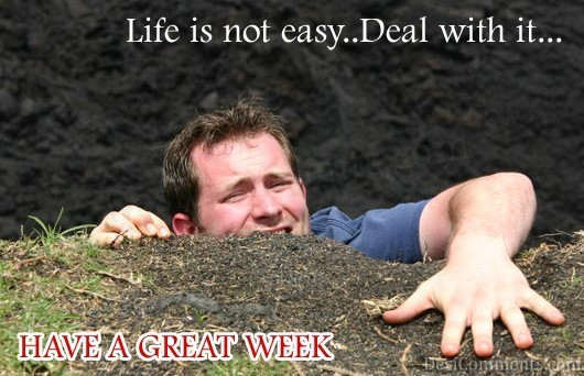 Life Is Not Easy