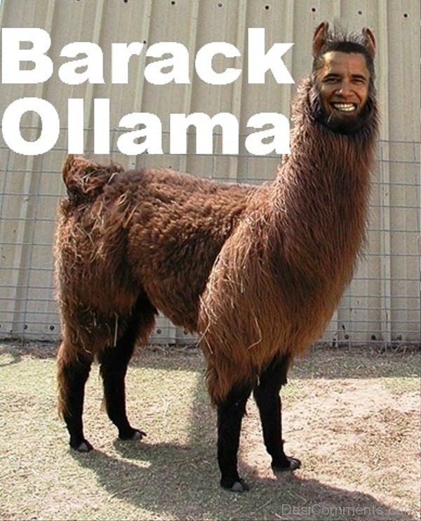 Barack Ollama