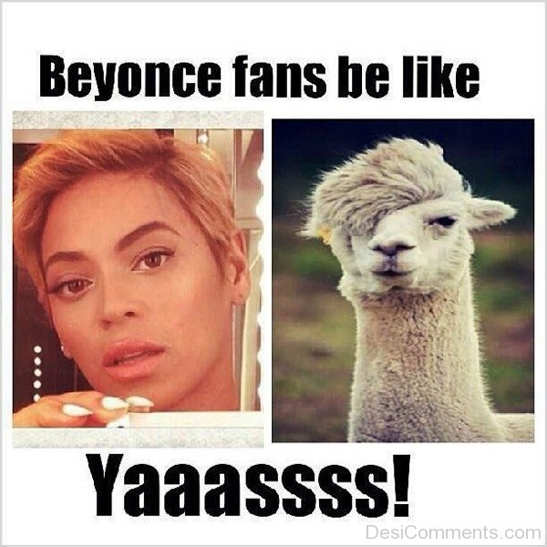 Beyonce Fans Be Like