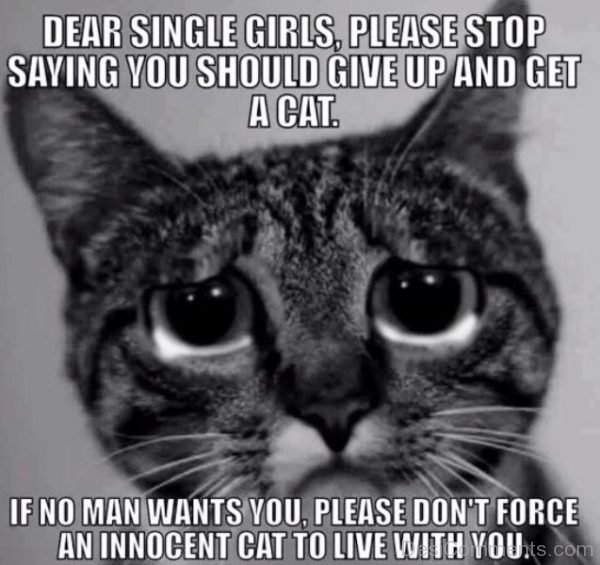 Dear Single Girls