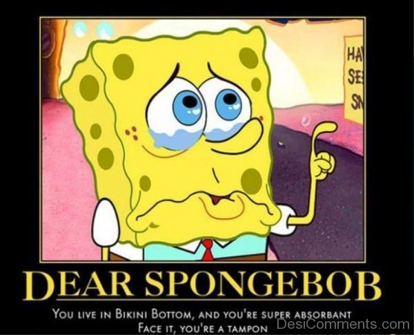 Dear Spongebob You Live In Bikini