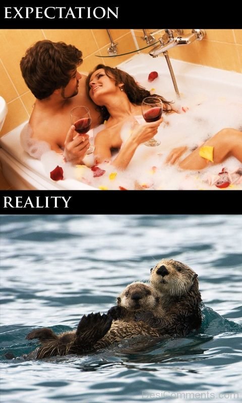 Expectation Vs Reality