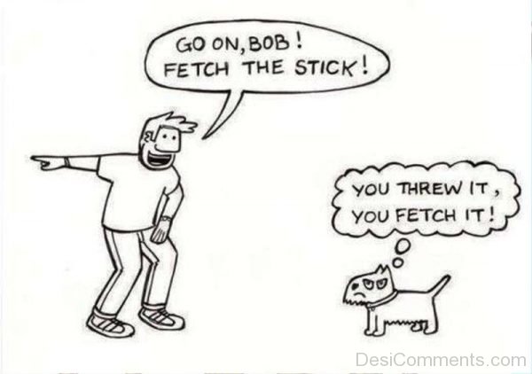 Go On Bob Fetch The Stick