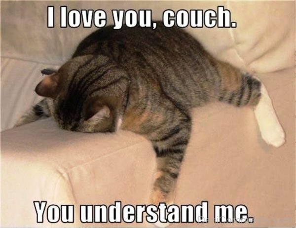 I Love You Couch