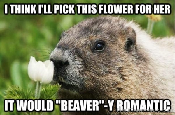 I'll Pick This Flower For Her