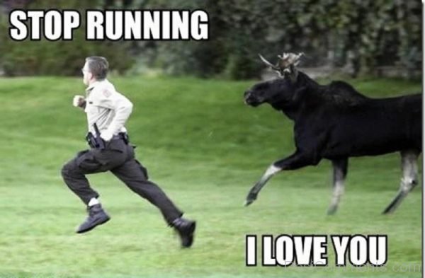 Stop Running I Love You