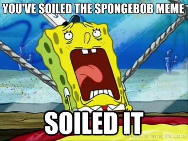 You ve Soiled The Spongebob Meme