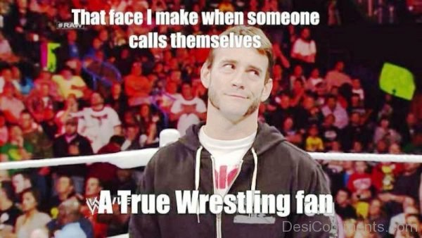 A True Wrestling Fan