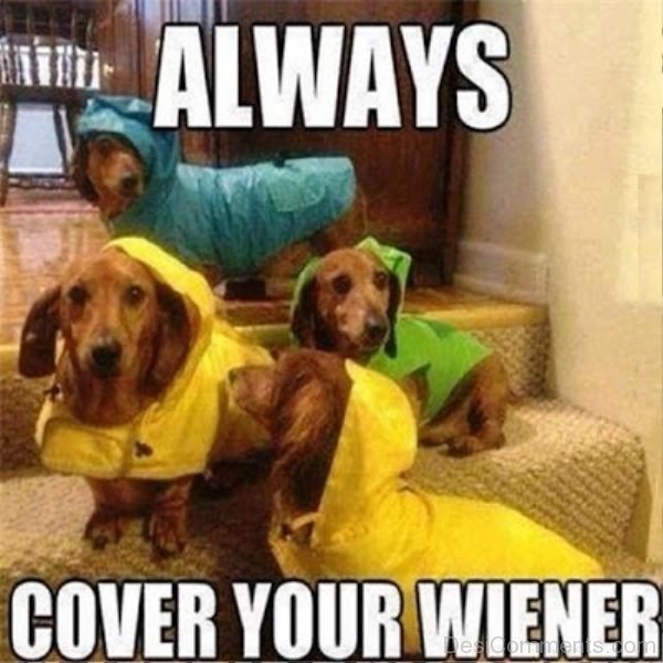 Always Cover Your Wiener