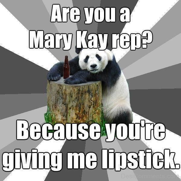 Are You A Mary Kay Rep
