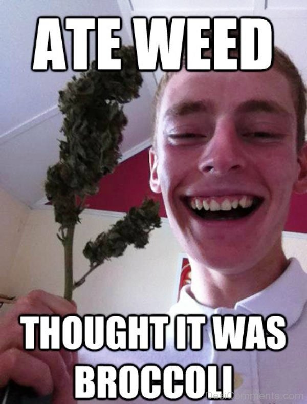 Ate Weed