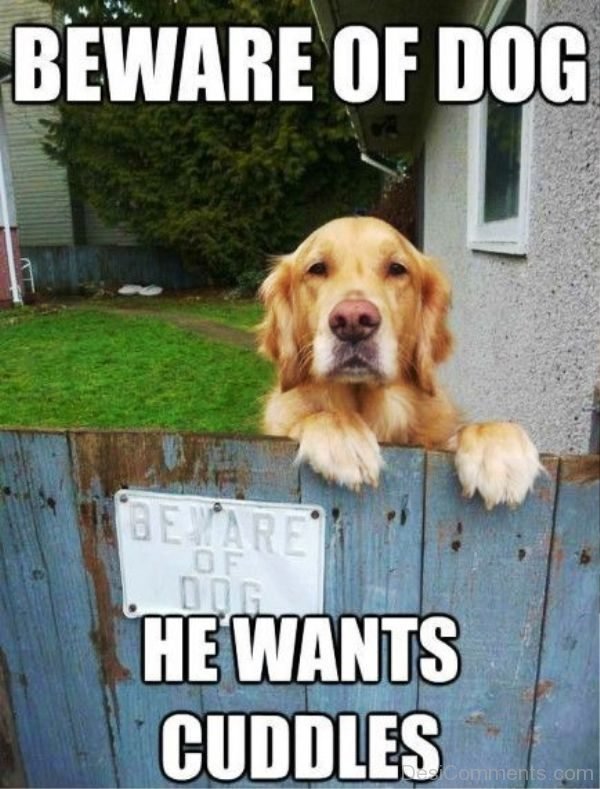 Beware Of Dog