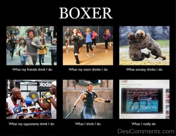 Boxer