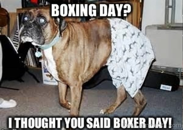 Boxing Match