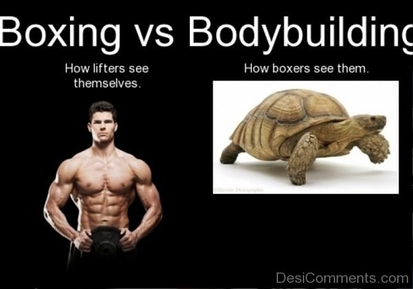 Boxing Vs Bodybuilding