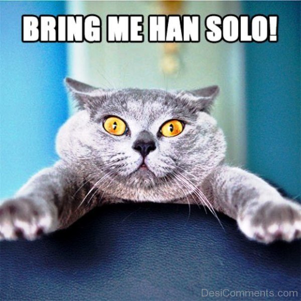Bring Me Han Solo