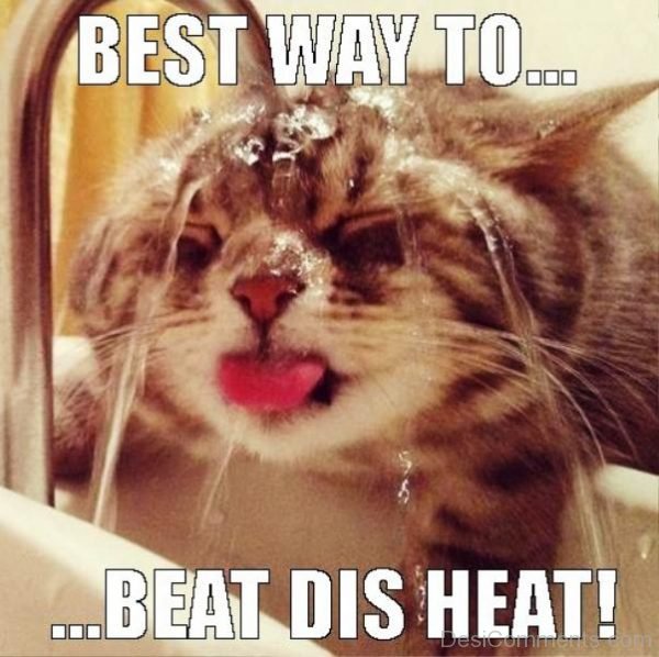 Bst Way To Beat Dis Heat