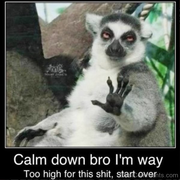 Calm Down Bro Im Way