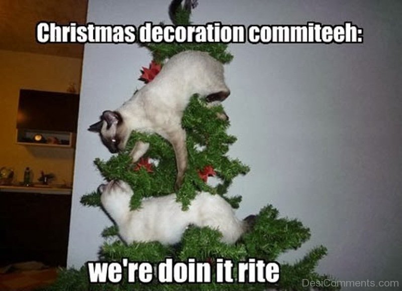 70 Fantastic Christmas Memes.