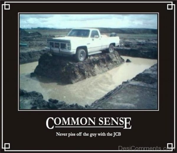 Common Sense