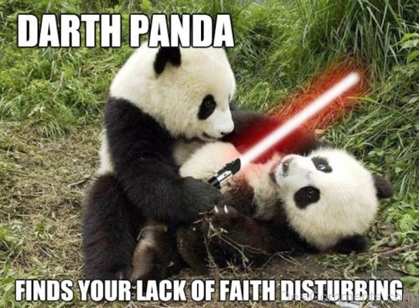 Darth Panda