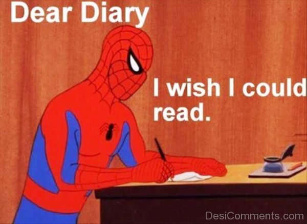 Dear Diary I Wish