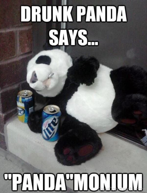 Drunk Panda Says