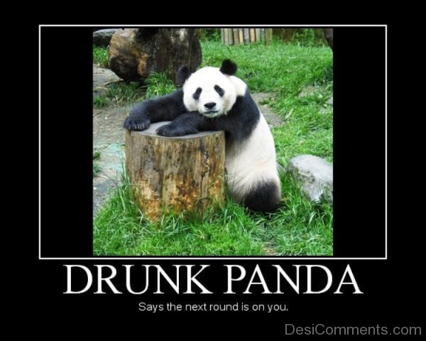 Drunk Panda Says The Next Round