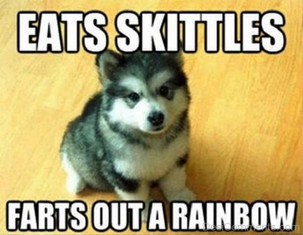 Eats Skittles