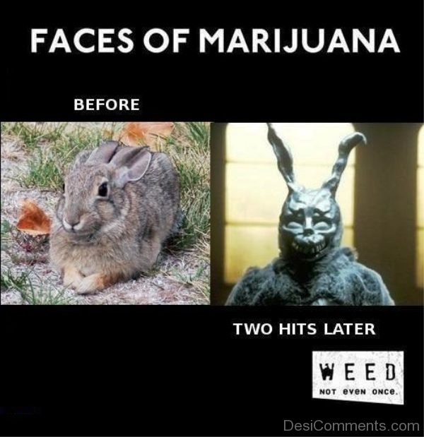 Faces Of Marijuana