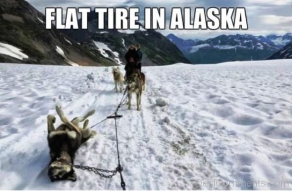 Flat Tire In Alaska