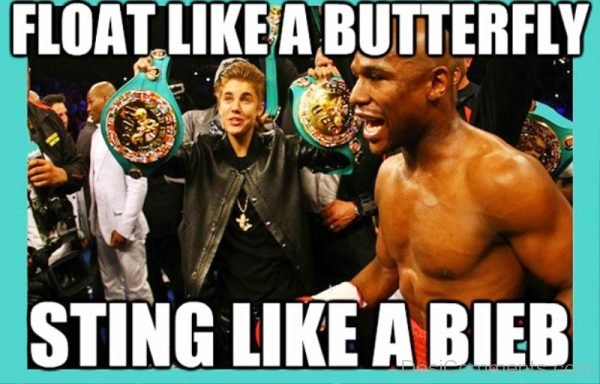 Float Like A Butterfly