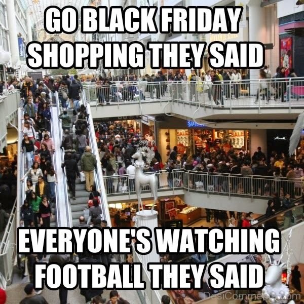 Go Black Friday Shopping They Said