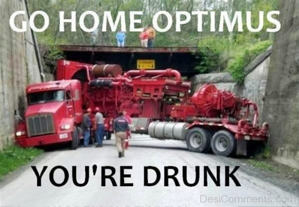 Go Home Optimus