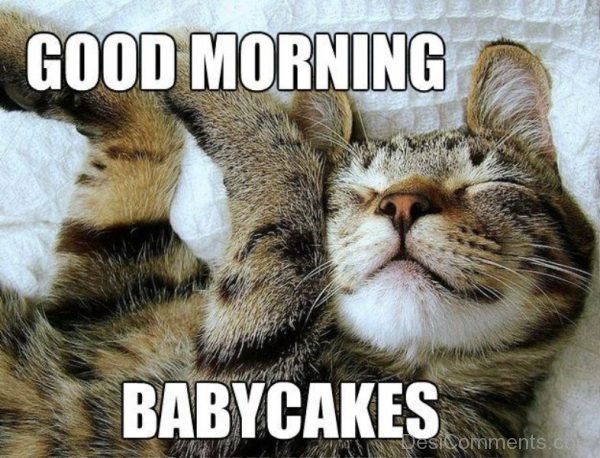 Good Morning Babycakes
