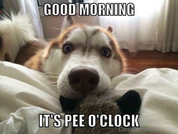 Good Morning Its Pee O Clock